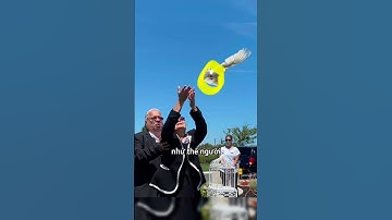 Con chim bồ câu trở về nhà sau đám tang #shorts