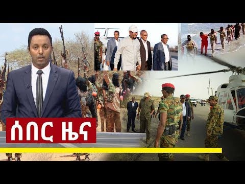 ቪዲዮ: ኮሲድ ለስላሳ ስኬል የነፍሳት ቁጥጥር፡ በአትክልቱ ውስጥ ለስላሳ ስኬል ሳንካዎችን ማከም