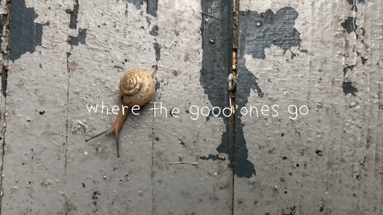 Watch Fust - Where The Good Ones Go (Official Music Video) on YouTube Watch Fust - Where The Good Ones Go (Official Music Video) on YouTube
