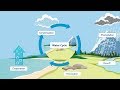 The Journey of Water Through the Cycle of Life