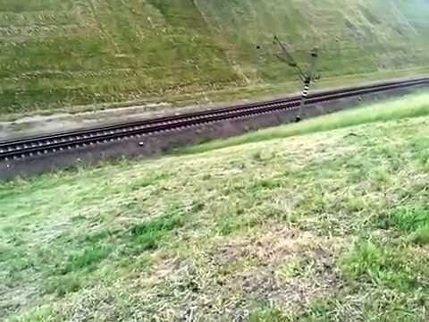Район Скидельского рынка в Гродно - бегают зайцы - YouTube