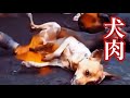 残酷！犬食文化とは？【閲覧注意】