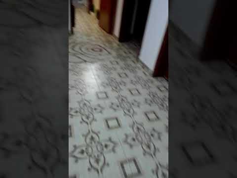 كلب و كم في الدواليب قلبي يا اهل اليوتيوب مشتركين