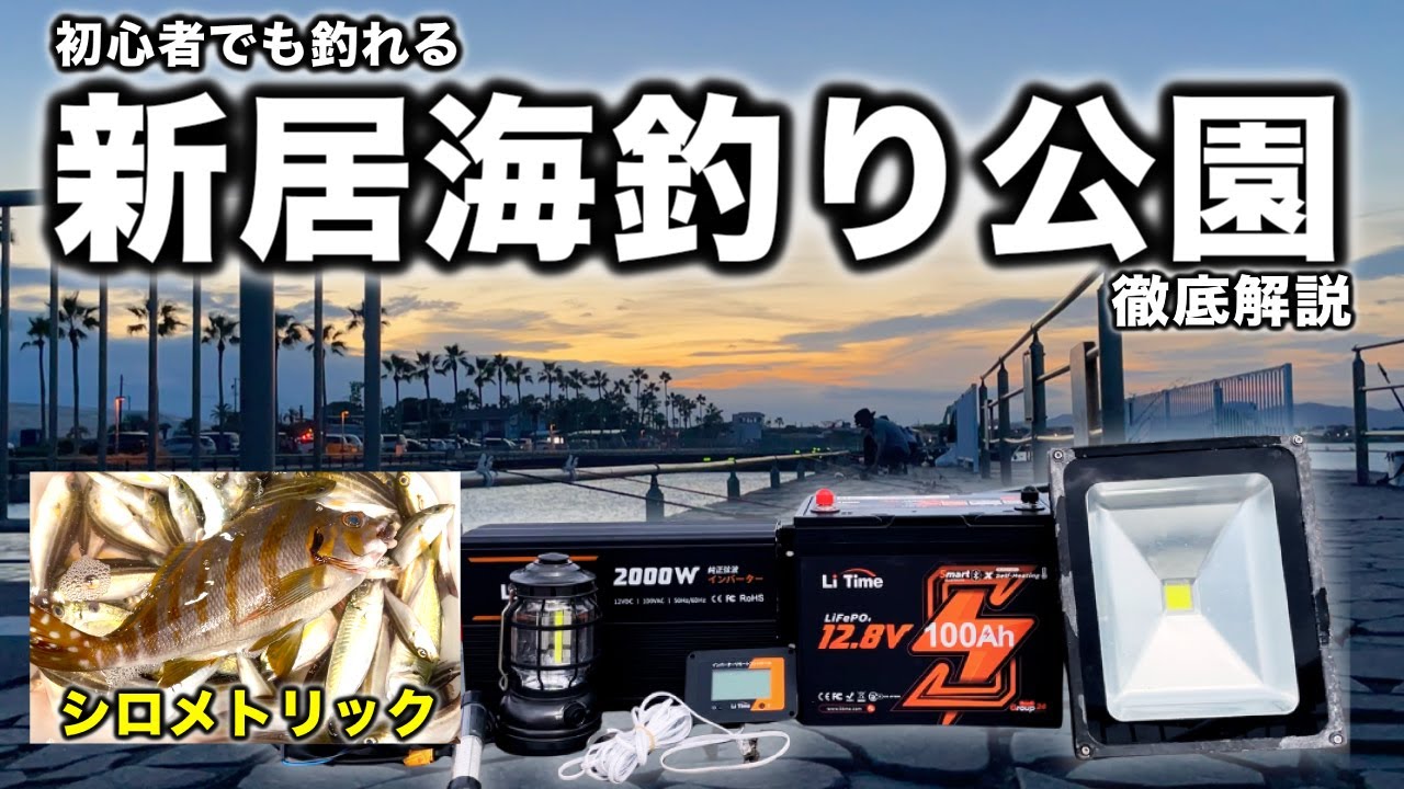 【新居海釣り公園】『夜サビキで大爆釣‼︎』釣果アップの秘訣を徹底解説‼︎【施設・ショップガイド】『賞金2万💲⁉︎GO ELECTRIC CONTEST – from paddle to power』