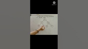 Write the missing numbers in factor tree# Factor tree