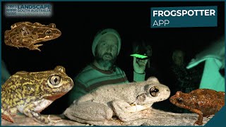 FrogSpotter App