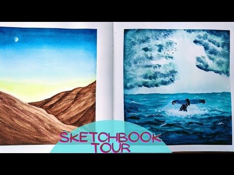 Are Caran D'Ache Worth It? Review Neocolor II Water Soluble Crayons &  Speedpaint a Tortoise w/Me! 