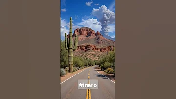 Reels Inaro Arizona 