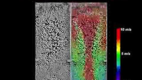 The Science and Beauty of Fluidization