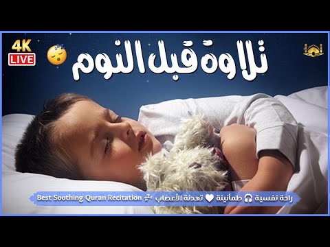قرآن كريم للمساعدة على نوم عميق بسرعة نوم هادئ ومريح جدا و راحة نفسية لا توصف  