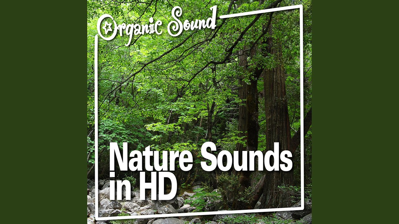 Guarda Roaring Waterfall su YouTube Guarda Roaring Waterfall su YouTube