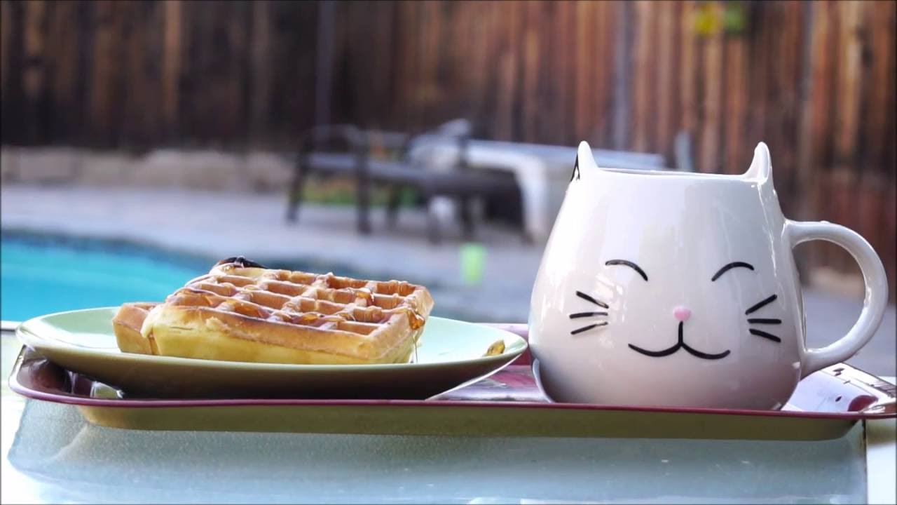 Morning tea with my cats / Sony A6300 YouTube