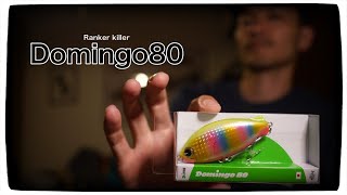 【解説】Domingo80