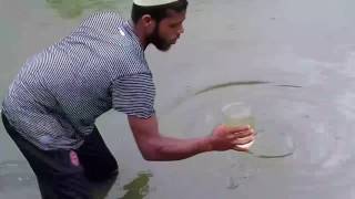 Celebrity How to collect Phytoplankton From anykind of water Net Worth