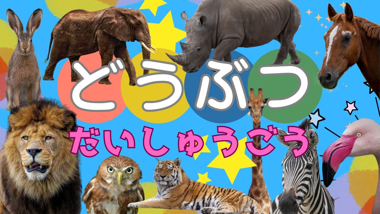 【子ども知育】どうぶつだいしゅうごう！ライオン　サイ　キリンなどいろんな動物を見てみよう！