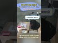 【Detector dog targets suspicious goods at customs. After open them...】