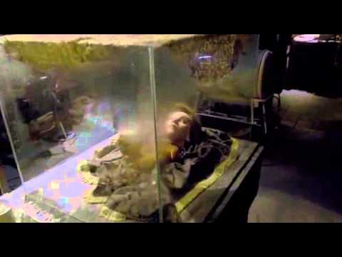 Women Head On A Stuff Bear - YouTube