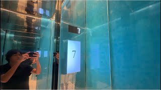 INSANELY FAST & STUNNING 700 FPM Otis Elevators at Tiffany & Co. - The Landmark in New York, NY