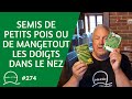 274semis de petits pois ou de mangetout les doigts dans le nez