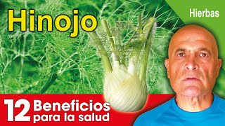 HINOJO 12 Beneficios para la salud