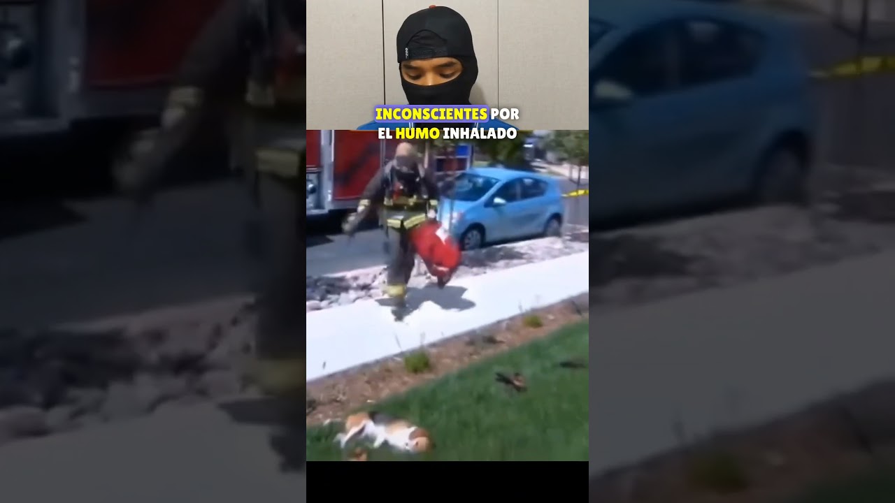 Los Bomberos Son Héroes Sin Capa👨‍🚒❤️! 