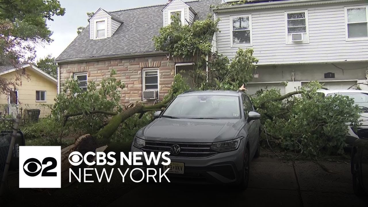 Storms bring trees down on homes in Bergen County, New Jersey