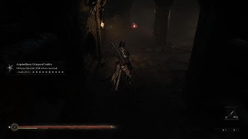 Mortal Shell | Enslaved Grisha Boss Battle + Rotting Christ Music