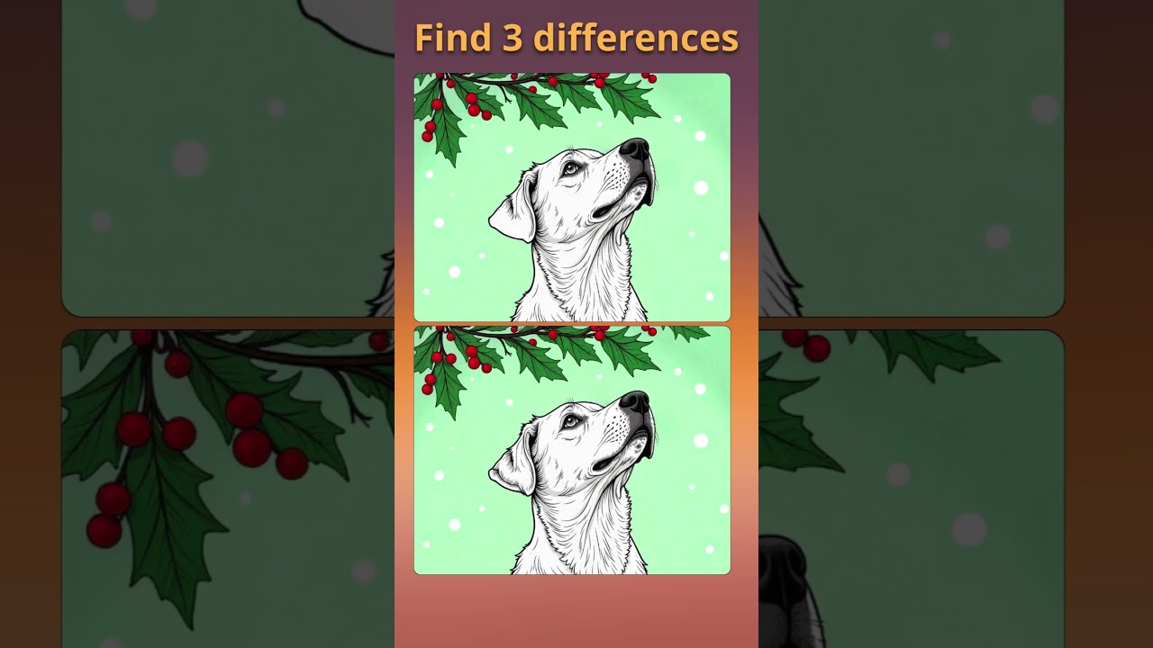 Find 3 Differences – Spot the Difference Challenge 