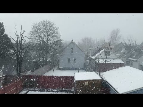Buffalo Snow Storm 2024|| #snowstorm#snow#nature#winter - YouTube