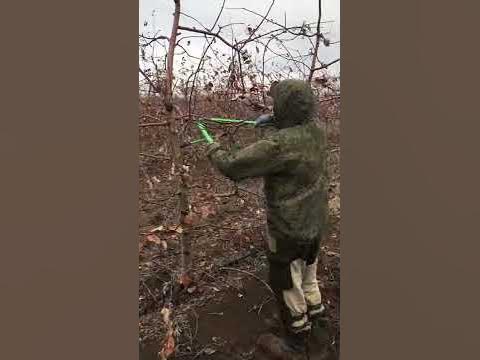 Сады Придония - YouTube