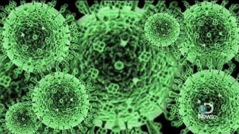 The H1N1 Swine Flu: A Look Inside