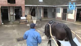 A2Turf - Emmanuel Allard - Verdi Jet 416 Samedi À Vincennes