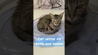 Our cat  is inside my #Beyblade arena #shorts