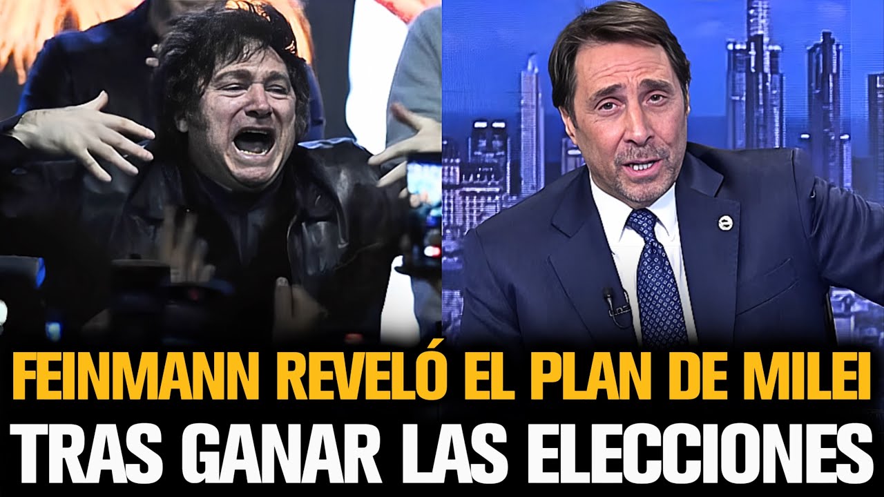 FEINMANN REVELÓ EL PLAN DE JAVIER MILEI TRAS GANAR LAS ELECCIONES