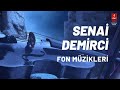 Senai Demirci "FON MÜZİKLERİ" ( 21 Enstrümantal )