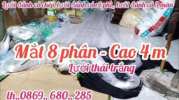 lưới đánh cá 3 màn đánh cá chép cá phi - lưới đánh cá-lưới cá 3 màn thái lan màu trắng 8 phân Cao 4m