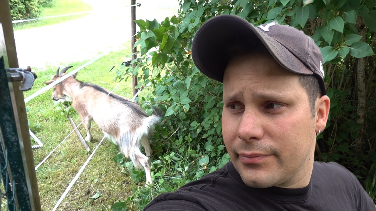 VÄRSTA PROJEKTET NÅGONSIN!