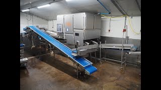 413-351: Concept Engineers bv double lane optical sorting line