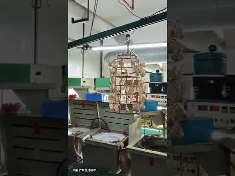 Lead Finish Plating