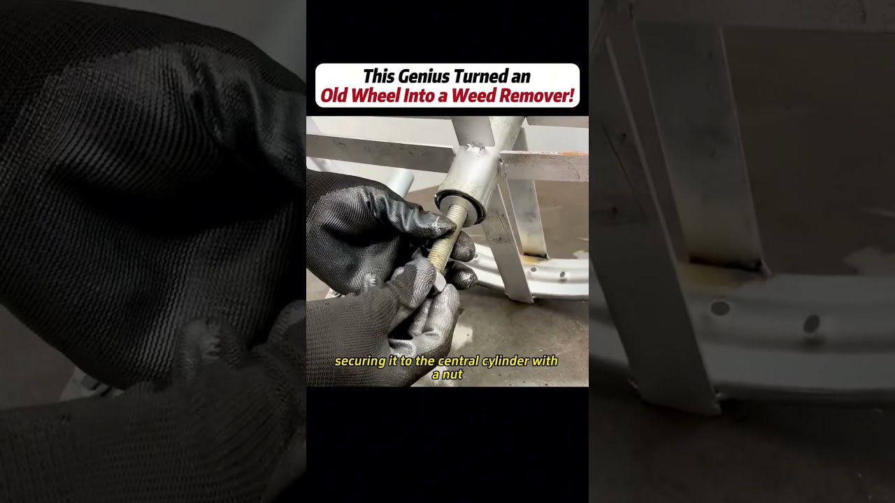 #handwork #Manufacturing #Build #Creativity #Repair #DIY #challenge #Treasurehunt #animalworld