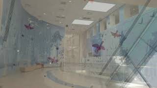 Welcome to Nationwide Children's Hospital Wealth