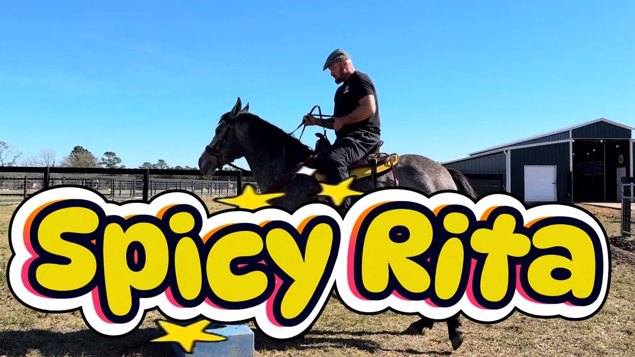 Lex working with rescue horse Gemma - YouTube