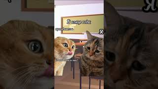 Приколы с котами в школе. #приколыскотами #мемыскотами #приколы  #котики #мемы #мем
