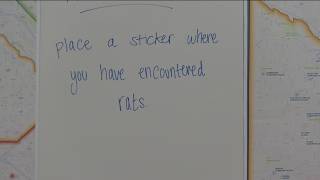 Residents gather at ACHD headquarters to discuss rat presence in Ada County
