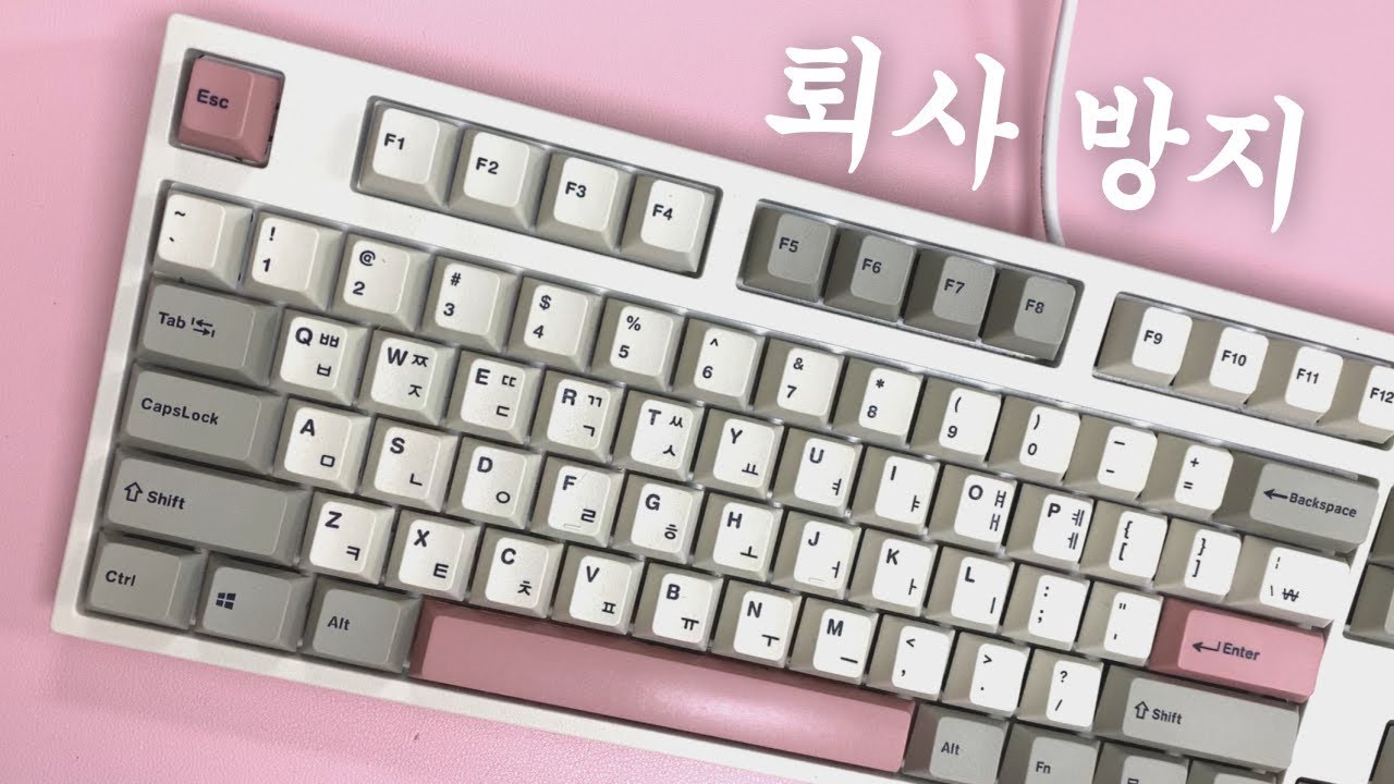[ASMR] 사무실 기계식 키보드 추천(feat. 퇴사 방지ㅣ레오폴드 FC900R 저소음 적축 타건)