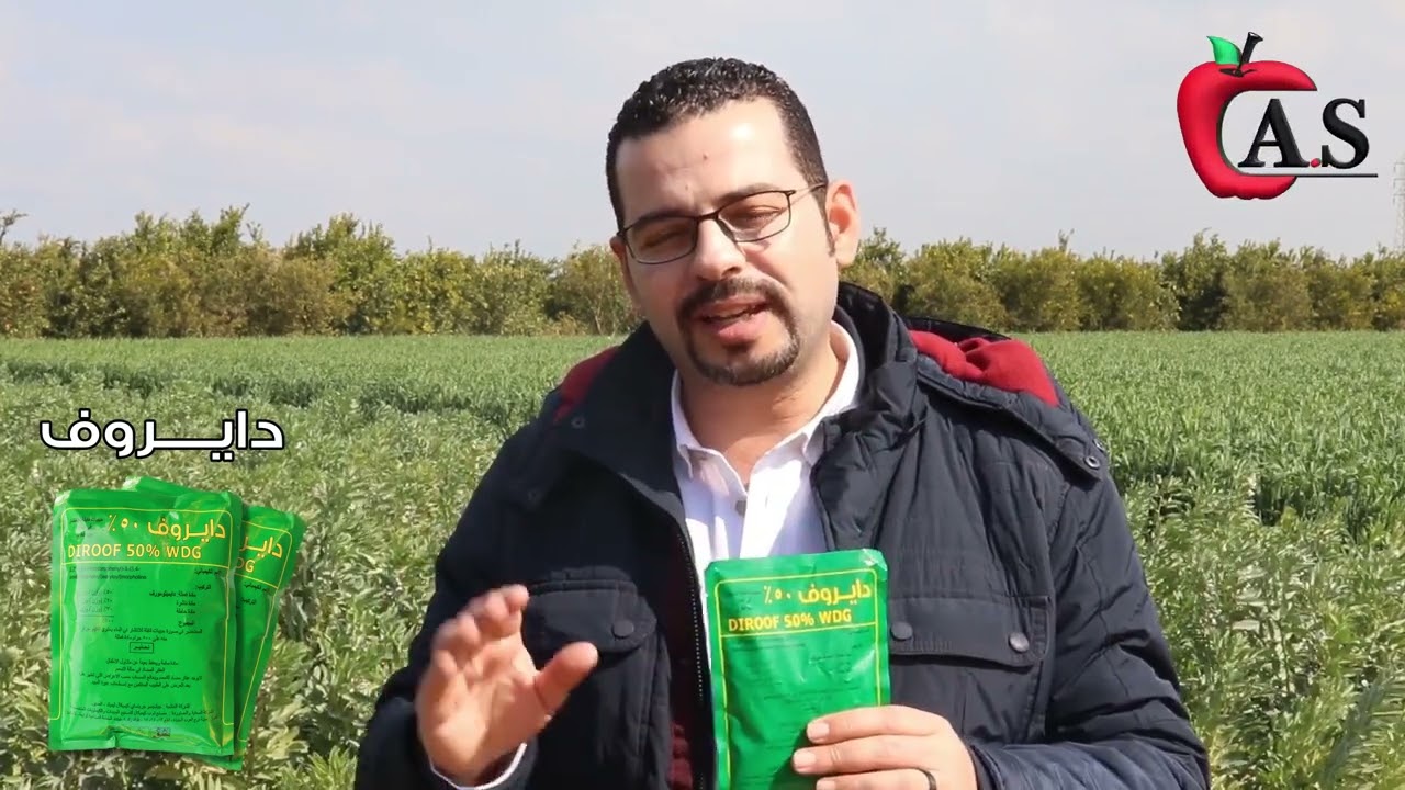 مكافحة التبقع البني على الفول وطرق الوقاية والعلاج