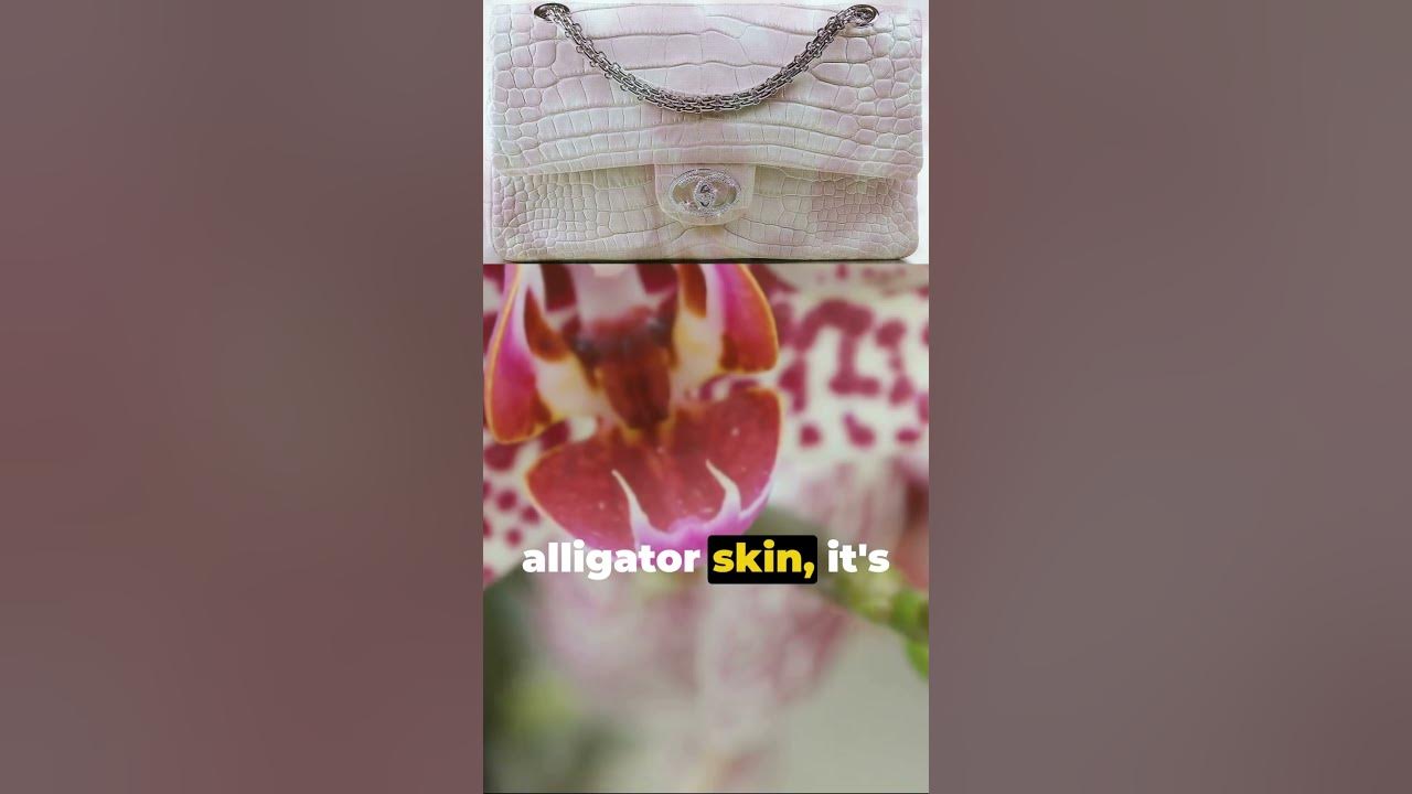 chanel diamond forever bag｜TikTok Search