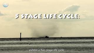 What Are Waterspouts And How Do They Form?