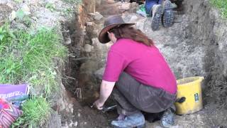 Introducing The Big Dig at Petworth House