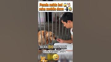 Panda nahin bol 😱🐕raha mobile dene 📲🤣#ginnipandey #pand#doglover #mobile #fun #reaction